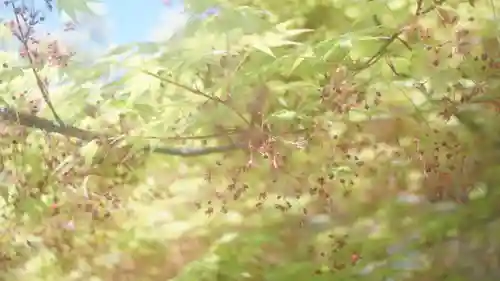 伊勢の国 四天王寺(三重県)