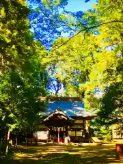 成田熊野神社の本殿