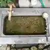 津の守弁財天の手水舎
