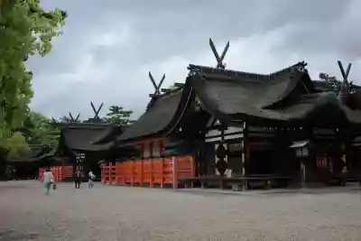 住吉大社の{uncategorized: "未分類", other: "その他", undefined: "問題あり", building: "その他建物", grave: "お墓", sacred_gate: "鳥居", guardian: "狛犬", statue: "像", buddha: "仏像", history: "歴史", nature: "自然", garden: "庭園", animal: "動物", pagoda: "塔", temizu: "手水舎", mountain_gate: "山門・神門", sanctuary: "本殿・本堂", subordinate: "末社・摂社", art: "芸術", scenery: "景色", jizo: "地蔵", ema: "絵馬", goshuin: "御朱印", omikuji: "おみくじ", items: "授与品その他", amulet: "お守り", goshuincho: "御朱印帳", eats: "食事", festival: "お祭り", votive_dance: "神楽", shichigosan: "七五三参", wedding: "結婚式", experience: "体験その他", initially: "初詣", around: "周辺", anti_infection: "感染症対策"}