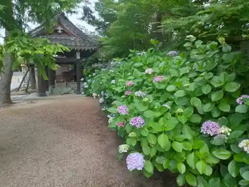 阿部野神社(大阪府)