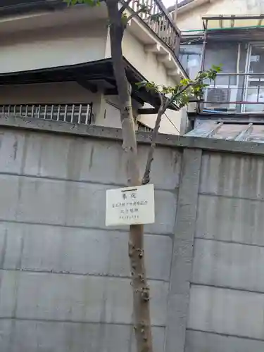 高円寺氷川神社(東京都)