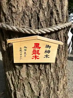 田無神社(東京都)
