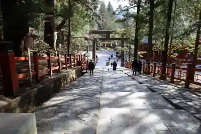 日光二荒山神社(栃木県)
