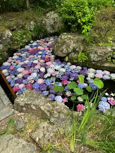 柳谷観音　楊谷寺(京都府)