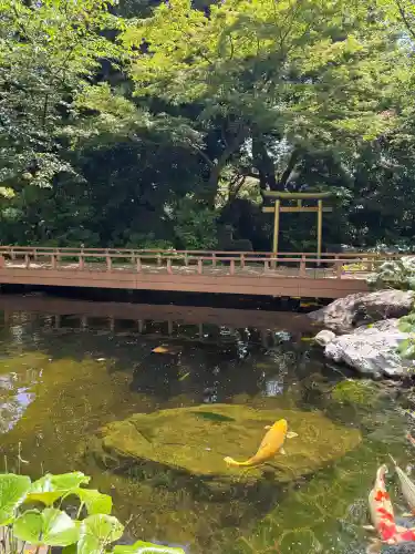 愛宕神社の{uncategorized: "未分類", other: "その他", undefined: "問題あり", building: "その他建物", grave: "お墓", sacred_gate: "鳥居", guardian: "狛犬", statue: "像", buddha: "仏像", history: "歴史", nature: "自然", garden: "庭園", animal: "動物", pagoda: "塔", temizu: "手水舎", mountain_gate: "山門・神門", sanctuary: "本殿・本堂", subordinate: "末社・摂社", art: "芸術", scenery: "景色", jizo: "地蔵", ema: "絵馬", goshuin: "御朱印", omikuji: "おみくじ", items: "授与品その他", amulet: "お守り", goshuincho: "御朱印帳", eats: "食事", festival: "お祭り", votive_dance: "神楽", shichigosan: "七五三参", wedding: "結婚式", experience: "体験その他", initially: "初詣", around: "周辺", anti_infection: "感染症対策"}