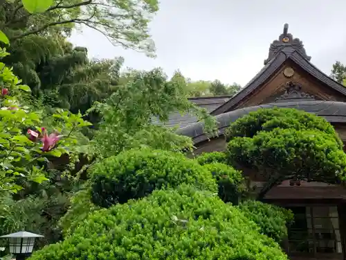 長命寺の本殿