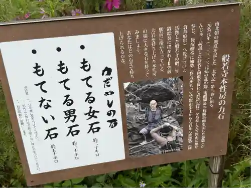 般若寺 ❁﻿コスモス寺❁(奈良県)