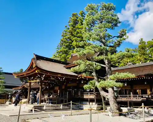 多賀大社の本殿・本堂