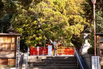 香椎宮(福岡県)