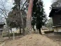 川中嶋斗賣神社の{uncategorized: "未分類", other: "その他", undefined: "問題あり", building: "その他建物", grave: "お墓", sacred_gate: "鳥居", guardian: "狛犬", statue: "像", buddha: "仏像", history: "歴史", nature: "自然", garden: "庭園", animal: "動物", pagoda: "塔", temizu: "手水舎", mountain_gate: "山門・神門", sanctuary: "本殿・本堂", subordinate: "末社・摂社", art: "芸術", scenery: "景色", jizo: "地蔵", ema: "絵馬", goshuin: "御朱印", omikuji: "おみくじ", items: "授与品その他", amulet: "お守り", goshuincho: "御朱印帳", eats: "食事", festival: "お祭り", votive_dance: "神楽", shichigosan: "七五三参", wedding: "結婚式", experience: "体験その他", initially: "初詣", around: "周辺", anti_infection: "感染症対策"}