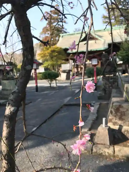 近津神社(福岡県)