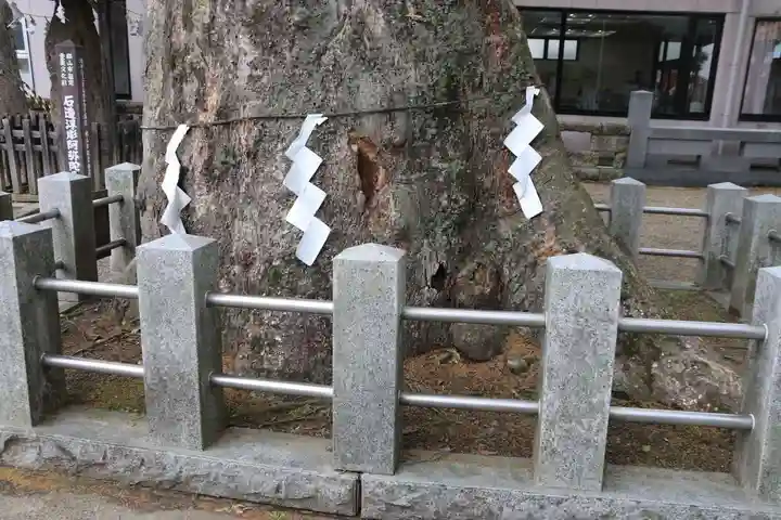 阿邪訶根神社の自然