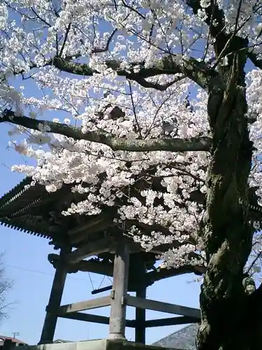 光明寺のその他建物