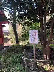 大汝牟遅神社の自然