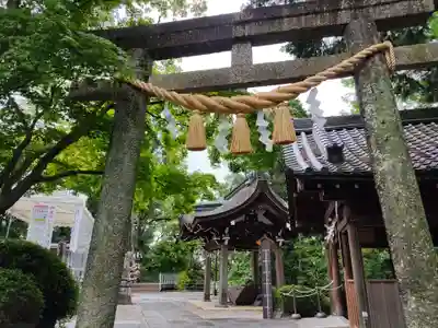 白山宮の鳥居