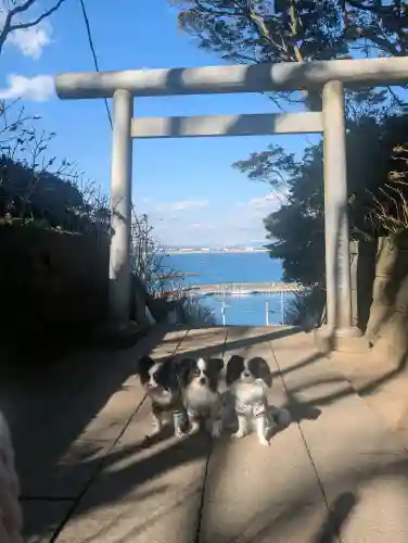 酒列磯前神社の{uncategorized: "未分類", other: "その他", undefined: "問題あり", building: "その他建物", grave: "お墓", sacred_gate: "鳥居", guardian: "狛犬", statue: "像", buddha: "仏像", history: "歴史", nature: "自然", garden: "庭園", animal: "動物", pagoda: "塔", temizu: "手水舎", mountain_gate: "山門・神門", sanctuary: "本殿・本堂", subordinate: "末社・摂社", art: "芸術", scenery: "景色", jizo: "地蔵", ema: "絵馬", goshuin: "御朱印", omikuji: "おみくじ", items: "授与品その他", amulet: "お守り", goshuincho: "御朱印帳", eats: "食事", festival: "お祭り", votive_dance: "神楽", shichigosan: "七五三参", wedding: "結婚式", experience: "体験その他", initially: "初詣", around: "周辺", anti_infection: "感染症対策"}
