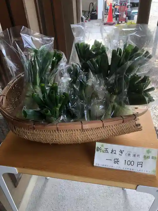 生路山 常照寺の御朱印