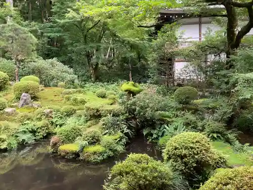 三千院門跡の庭園