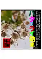 耕田院(山形県)