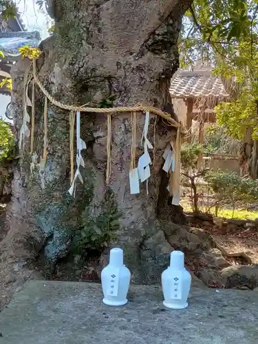 養源院(京都府)