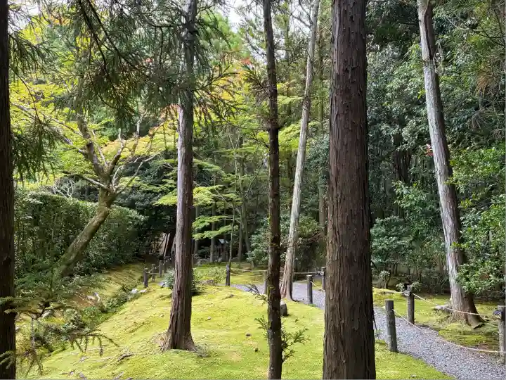 桂春院(京都府)