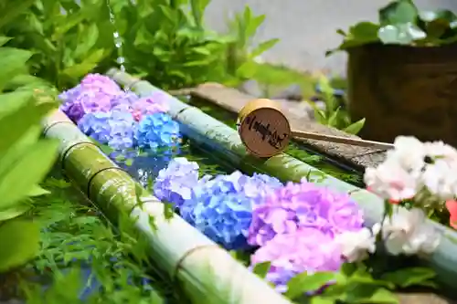 二尊院の手水舎