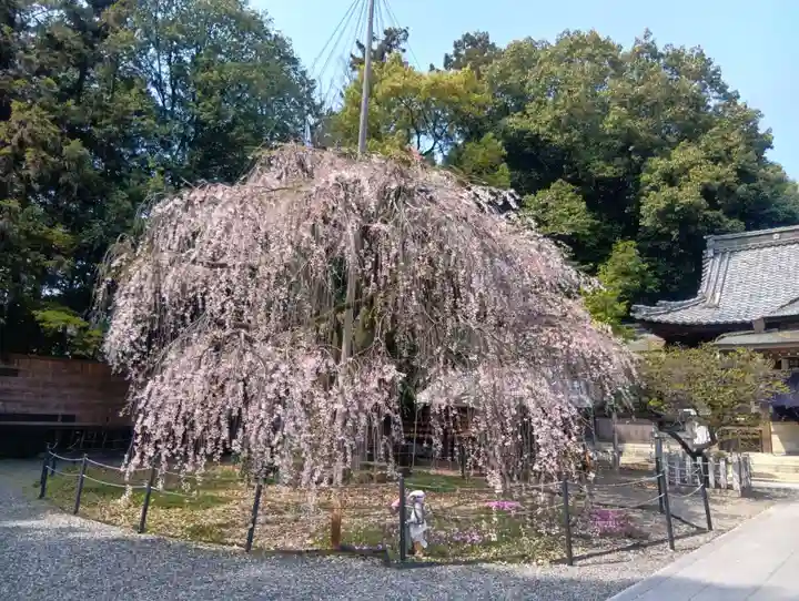 (長良)天神神社(岐阜県)