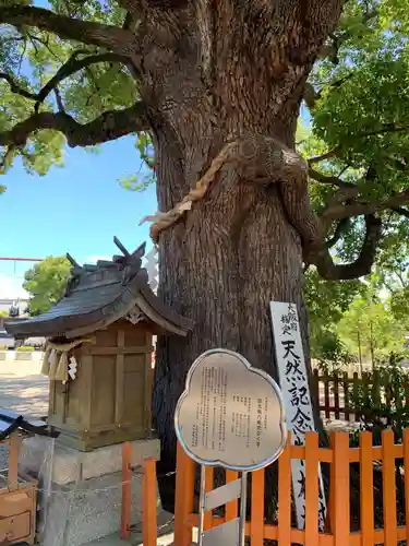 百舌鳥八幡宮(大阪府)