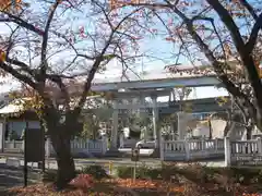 隅田川神社(東京都)