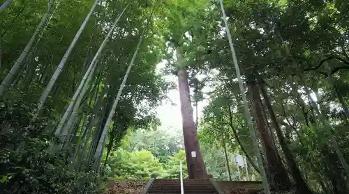 蔵敷熊野神社の自然
