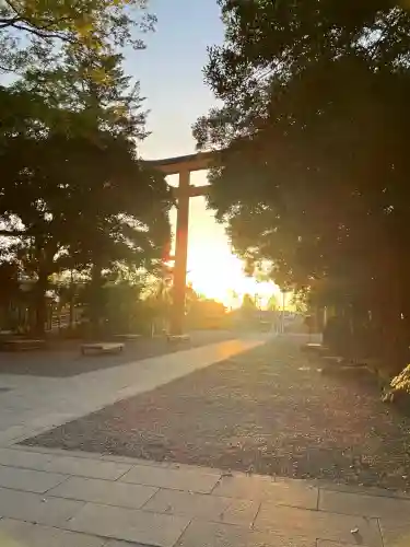 川越氷川神社の{uncategorized: "未分類", other: "その他", undefined: "問題あり", building: "その他建物", grave: "お墓", sacred_gate: "鳥居", guardian: "狛犬", statue: "像", buddha: "仏像", history: "歴史", nature: "自然", garden: "庭園", animal: "動物", pagoda: "塔", temizu: "手水舎", mountain_gate: "山門・神門", sanctuary: "本殿・本堂", subordinate: "末社・摂社", art: "芸術", scenery: "景色", jizo: "地蔵", ema: "絵馬", goshuin: "御朱印", omikuji: "おみくじ", items: "授与品その他", amulet: "お守り", goshuincho: "御朱印帳", eats: "食事", festival: "お祭り", votive_dance: "神楽", shichigosan: "七五三参", wedding: "結婚式", experience: "体験その他", initially: "初詣", around: "周辺", anti_infection: "感染症対策"}