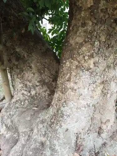 巽神社(神奈川県)