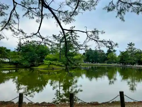 東大寺の{uncategorized: "未分類", other: "その他", undefined: "問題あり", building: "その他建物", grave: "お墓", sacred_gate: "鳥居", guardian: "狛犬", statue: "像", buddha: "仏像", history: "歴史", nature: "自然", garden: "庭園", animal: "動物", pagoda: "塔", temizu: "手水舎", mountain_gate: "山門・神門", sanctuary: "本殿・本堂", subordinate: "末社・摂社", art: "芸術", scenery: "景色", jizo: "地蔵", ema: "絵馬", goshuin: "御朱印", omikuji: "おみくじ", items: "授与品その他", amulet: "お守り", goshuincho: "御朱印帳", eats: "食事", festival: "お祭り", votive_dance: "神楽", shichigosan: "七五三参", wedding: "結婚式", experience: "体験その他", initially: "初詣", around: "周辺", anti_infection: "感染症対策"}