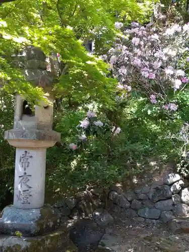 長谷寺(奈良県)