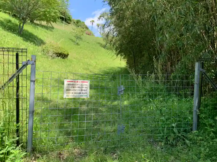 大杉神社(千葉県)