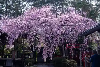 水火天満宮(京都府)