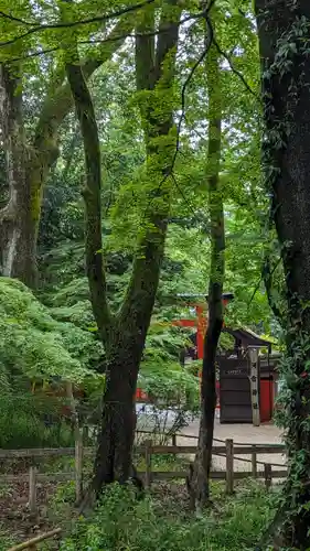 賀茂御祖神社（下鴨神社）(京都府)