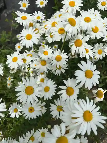 聖神社(埼玉県)