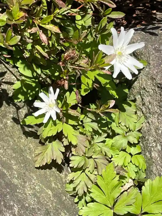 国上寺(新潟県)