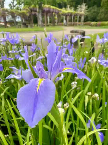 賀茂神社(愛知県)
