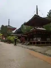 高野山金剛峯寺(和歌山県)