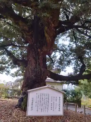 一之宮貫前神社(群馬県)