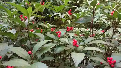 東林院(京都府)