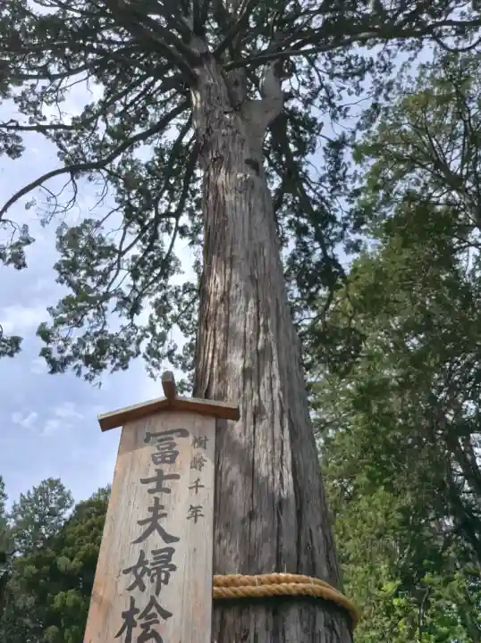 北口本宮冨士浅間神社の{uncategorized: "未分類", other: "その他", undefined: "問題あり", building: "その他建物", grave: "お墓", sacred_gate: "鳥居", guardian: "狛犬", statue: "像", buddha: "仏像", history: "歴史", nature: "自然", garden: "庭園", animal: "動物", pagoda: "塔", temizu: "手水舎", mountain_gate: "山門・神門", sanctuary: "本殿・本堂", subordinate: "末社・摂社", art: "芸術", scenery: "景色", jizo: "地蔵", ema: "絵馬", goshuin: "御朱印", omikuji: "おみくじ", items: "授与品その他", amulet: "お守り", goshuincho: "御朱印帳", eats: "食事", festival: "お祭り", votive_dance: "神楽", shichigosan: "七五三参", wedding: "結婚式", experience: "体験その他", initially: "初詣", around: "周辺", anti_infection: "感染症対策"}