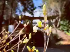 滑川神社 - 仕事と子どもの守り神の自然