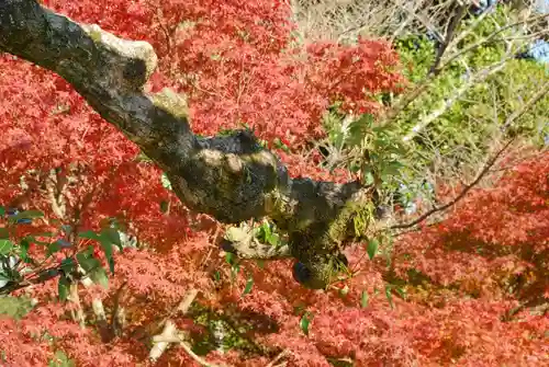 妙徳寺(山口県)