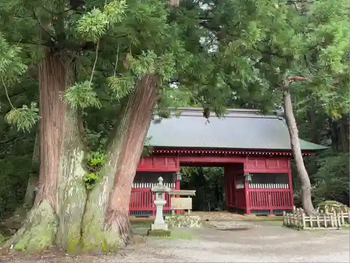 羽黒山五重塔(出羽三山神社)(山形県)