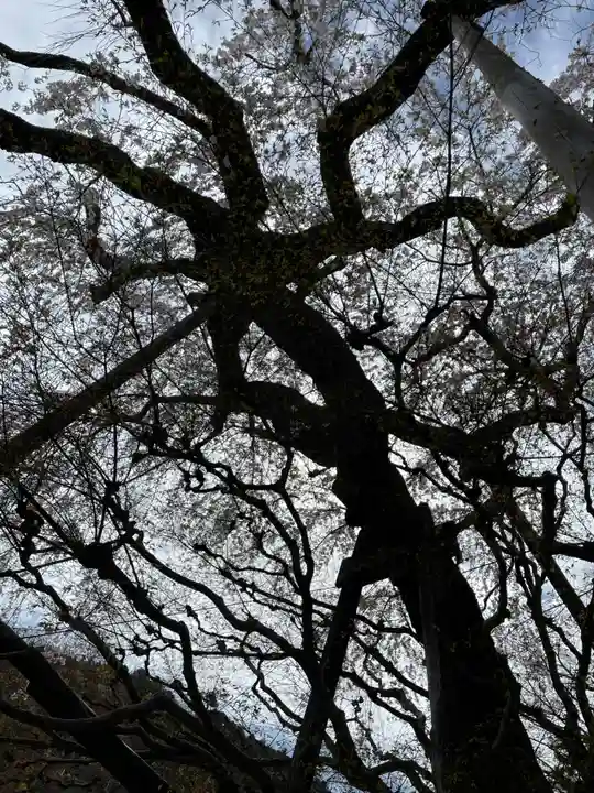 善峯寺(京都府)