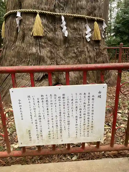 麻賀多神社(千葉県)